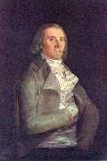 Francisco de Goya Retrato del doctor Peral oil painting